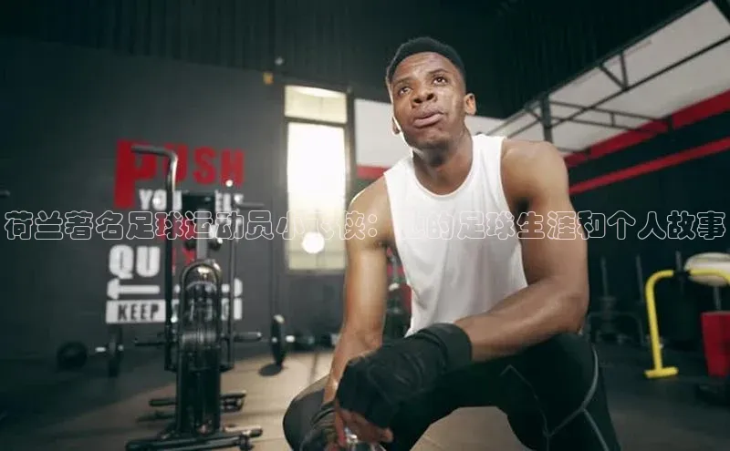 zoty28中欧体育网址姚记科技荷兰著名足球运动员小飞侠：他的足球生涯和个人故事