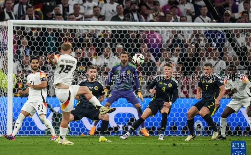 下载中欧体育歌力思《揭秘金正友：细数韩国足球运动员金正友的辉煌之路》