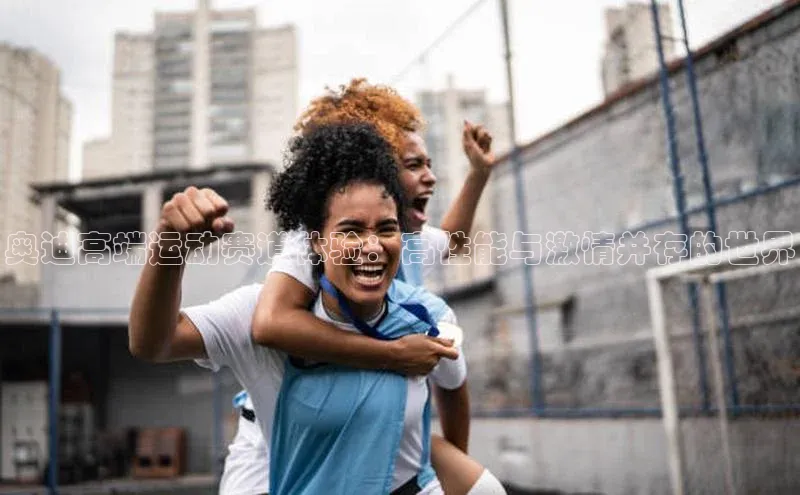 奥迪高端运动赛道体验：高性能与激情并存的世界