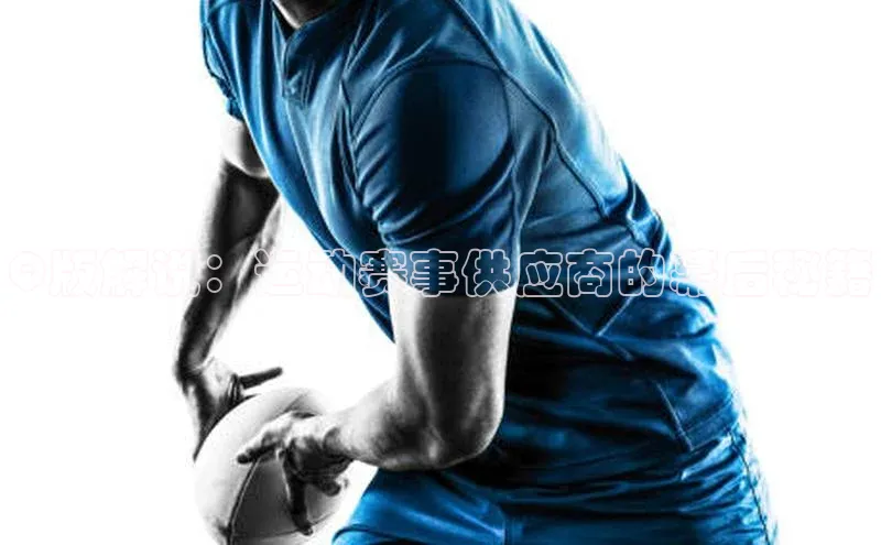 Q版解说：运动赛事供应商的幕后秘籍