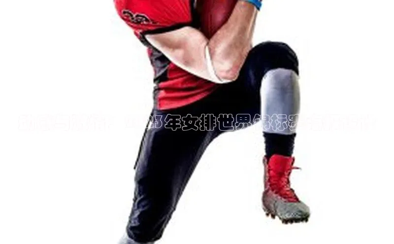 动感与激情：2023年女排世界锦标赛海报设计