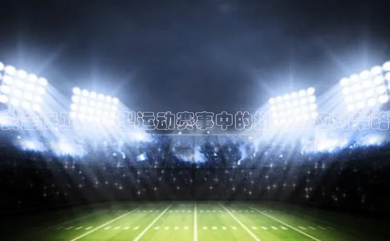 安全保卫：大型运动赛事中的挑战与应对策略