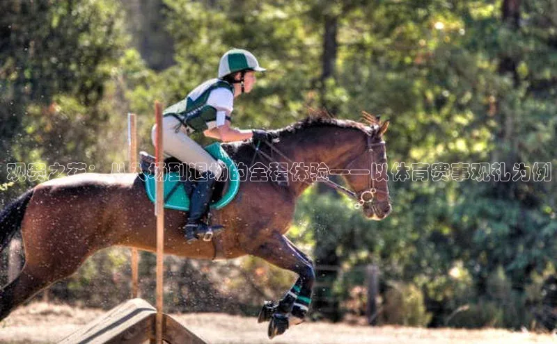 观赛之花：从入场到退场的全程体验——以体育赛事观礼为例