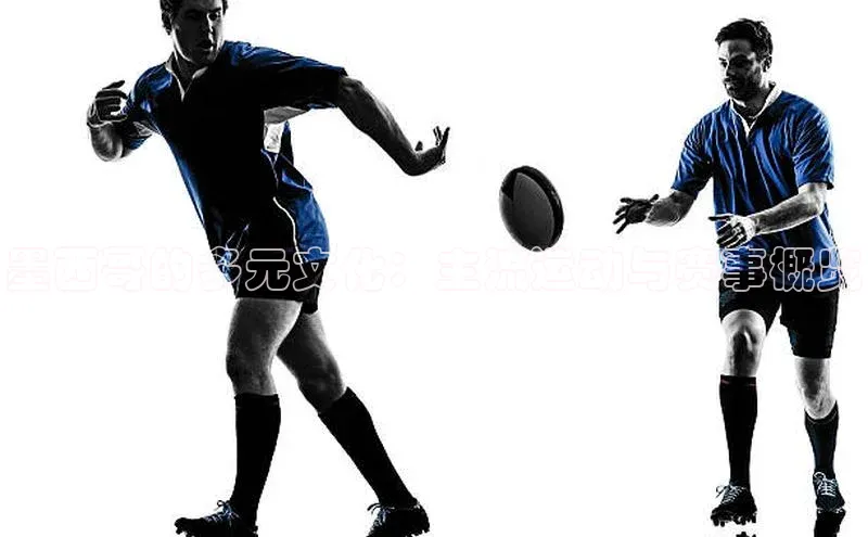 墨西哥的多元文化：主流运动与赛事概览