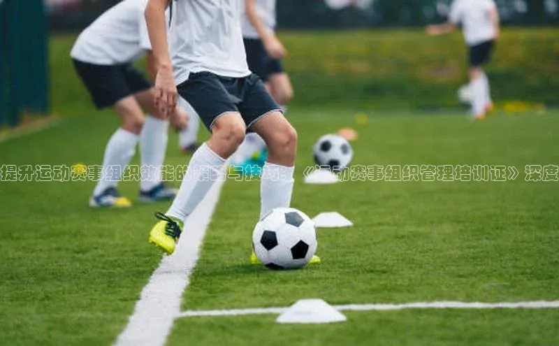 提升运动赛事组织效能的策略与技巧：《运动赛事组织管理培训证》深度