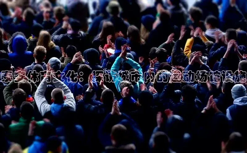 泰安体育文化：探访城市内的运动场馆设施