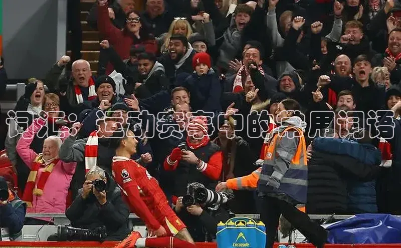 词汇：运动赛事中的常用词语