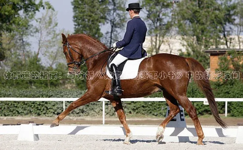 体育迷的指南：与分析《体育运动赛事小书》中的精彩瞬间