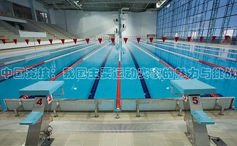 中国竞技：我国主要运动赛事的魅力与挑战
