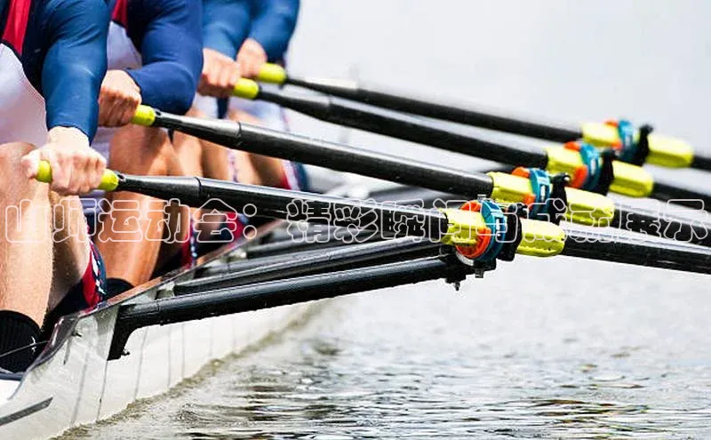 山师运动会：精彩瞬间与成就展示