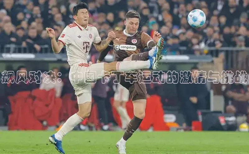 飙风对决：中国卡丁车运动的激情与挑战