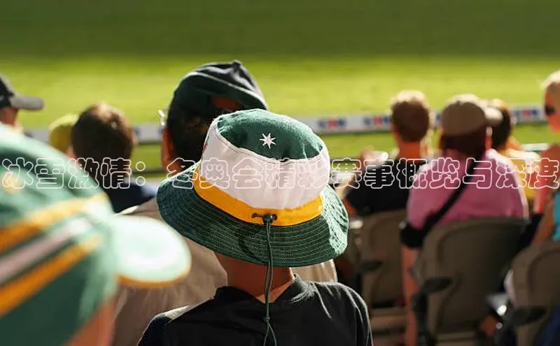 冰雪激情：冬奥会精彩赛事概览与深度