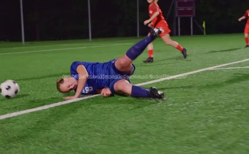 Sport:ThePulseofHumanEndeavorandGlobalDynamics