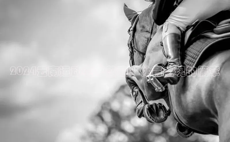 2024云南运动赛事前瞻：体育之魂的篇章