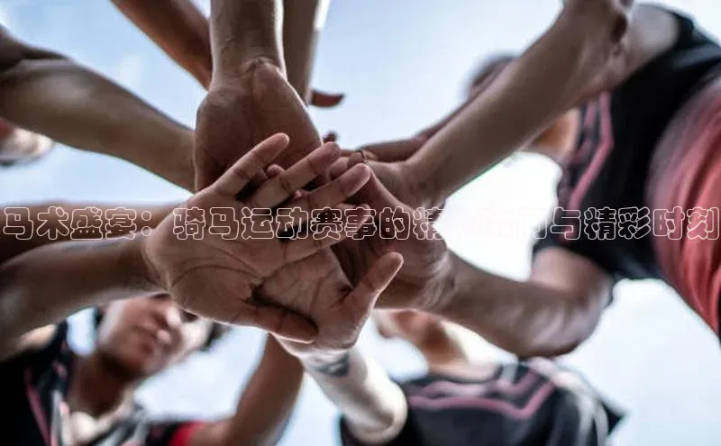 马术盛宴：骑马运动赛事的精彩瞬间与精彩时刻