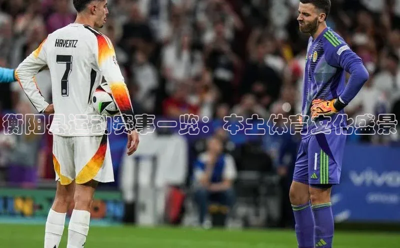 衡阳县运动赛事一览：本土体育文化盛景